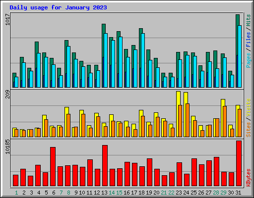 Daily usage for January 2023