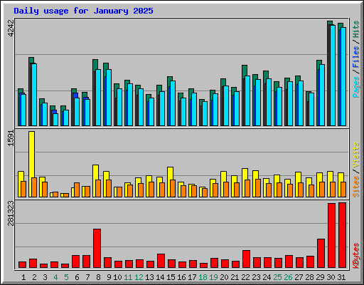 Daily usage for January 2025