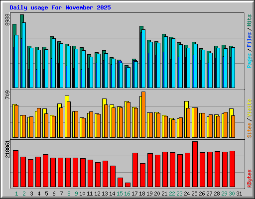 Daily usage for November 2025