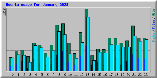 Hourly usage for January 2023