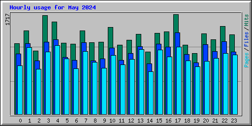 Hourly usage for May 2024