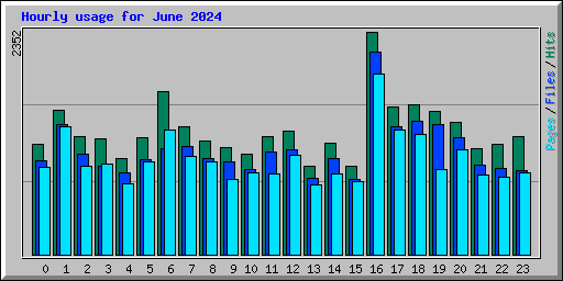 Hourly usage for June 2024
