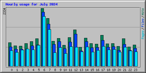 Hourly usage for July 2024