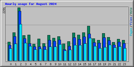 Hourly usage for August 2024