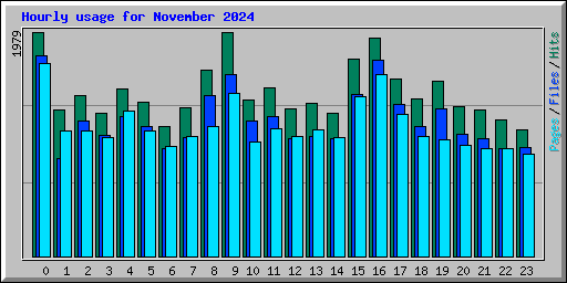 Hourly usage for November 2024