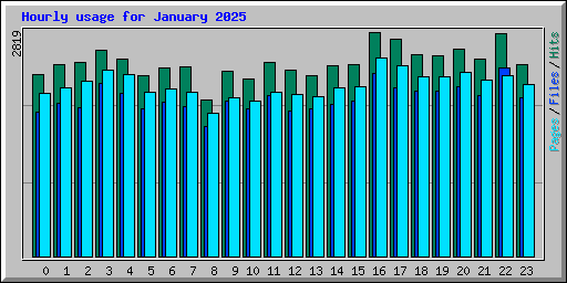 Hourly usage for January 2025