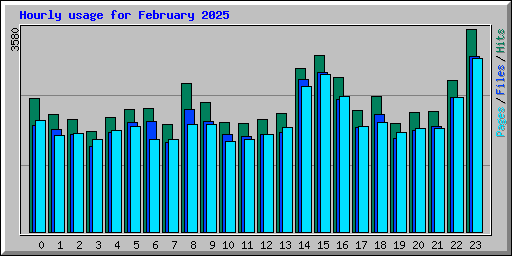 Hourly usage for February 2025