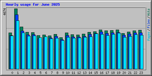 Hourly usage for June 2025