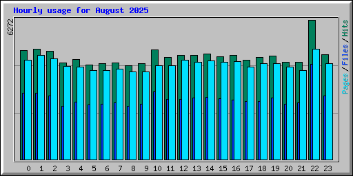Hourly usage for August 2025