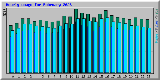 Hourly usage for February 2026