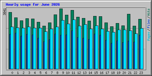 Hourly usage for June 2026