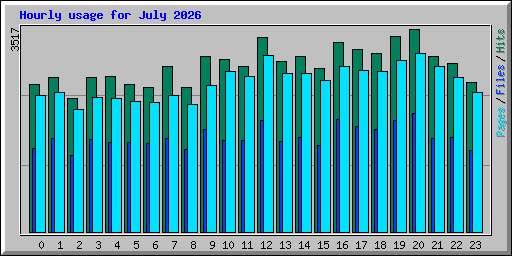 Hourly usage for July 2026